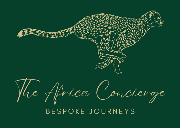 The Africa Concierge