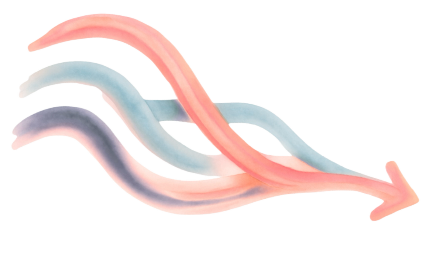 Journey Confluence