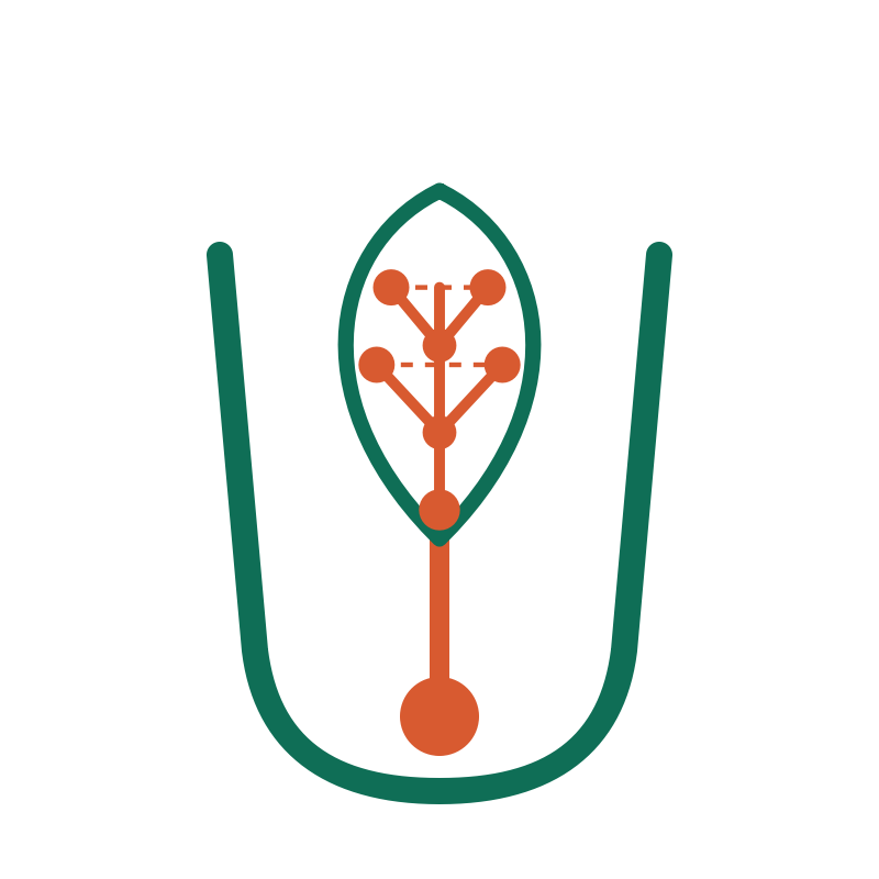 Crisol Innovación Lab