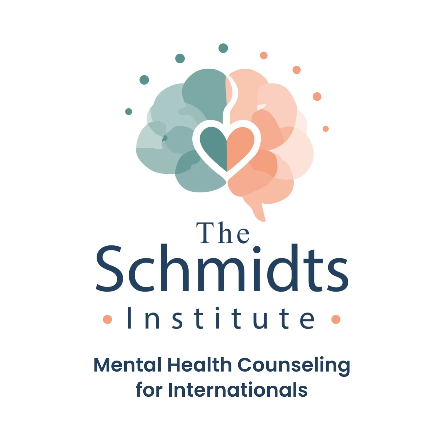 The Schmidts Institute