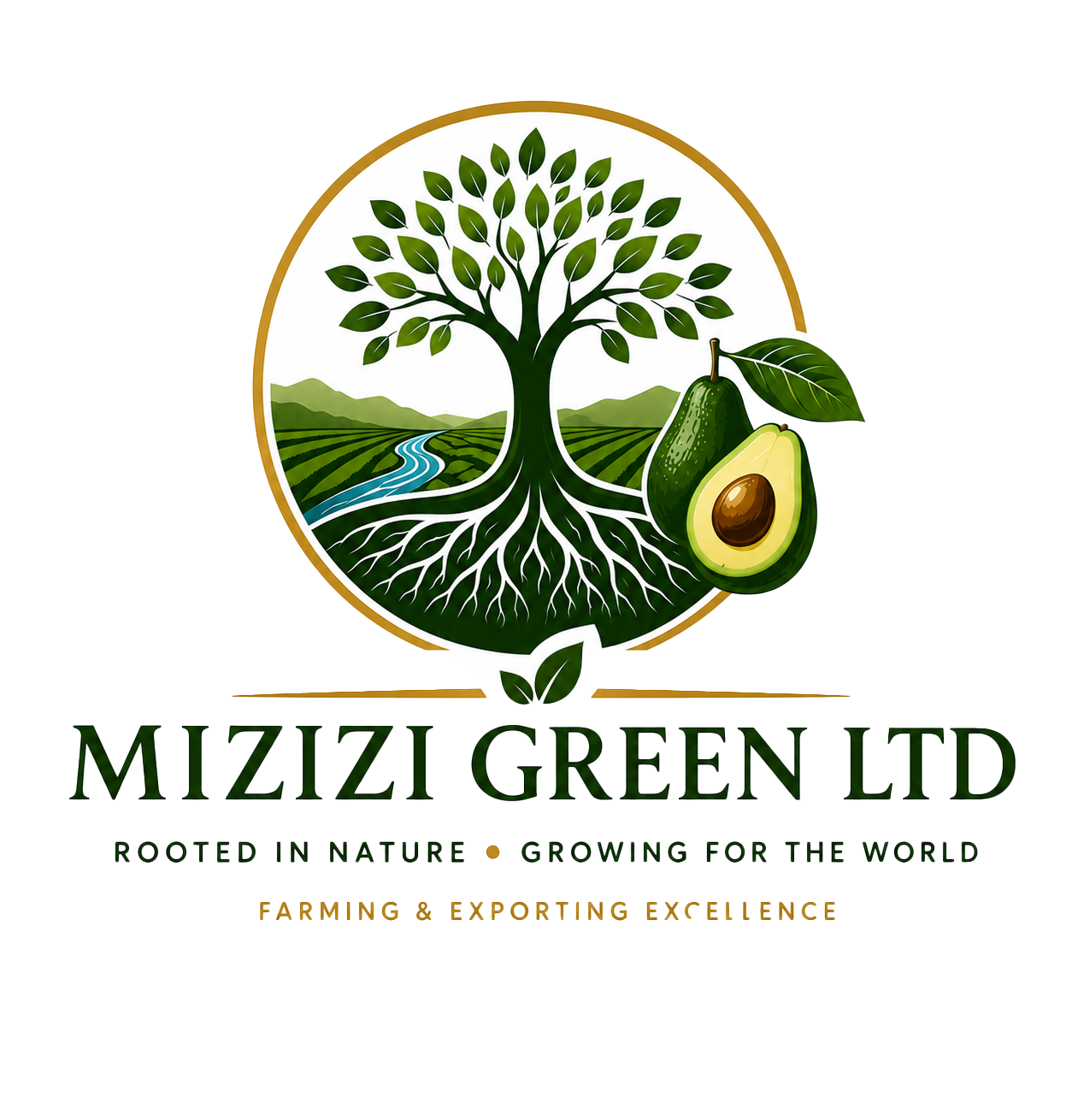 MIZIZI GREEN LTD