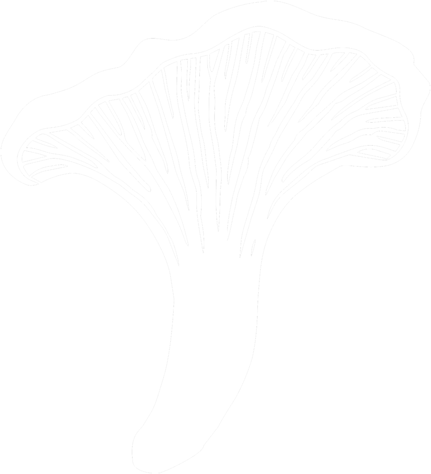 TerraCulture