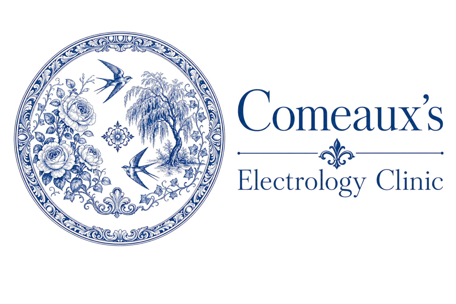 Comeaux Electrolysis