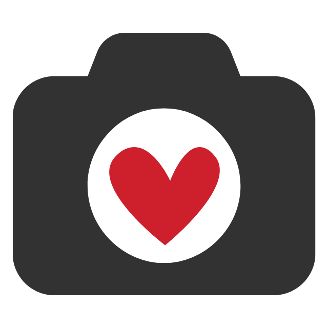 Step-by-Step Photo Organization
