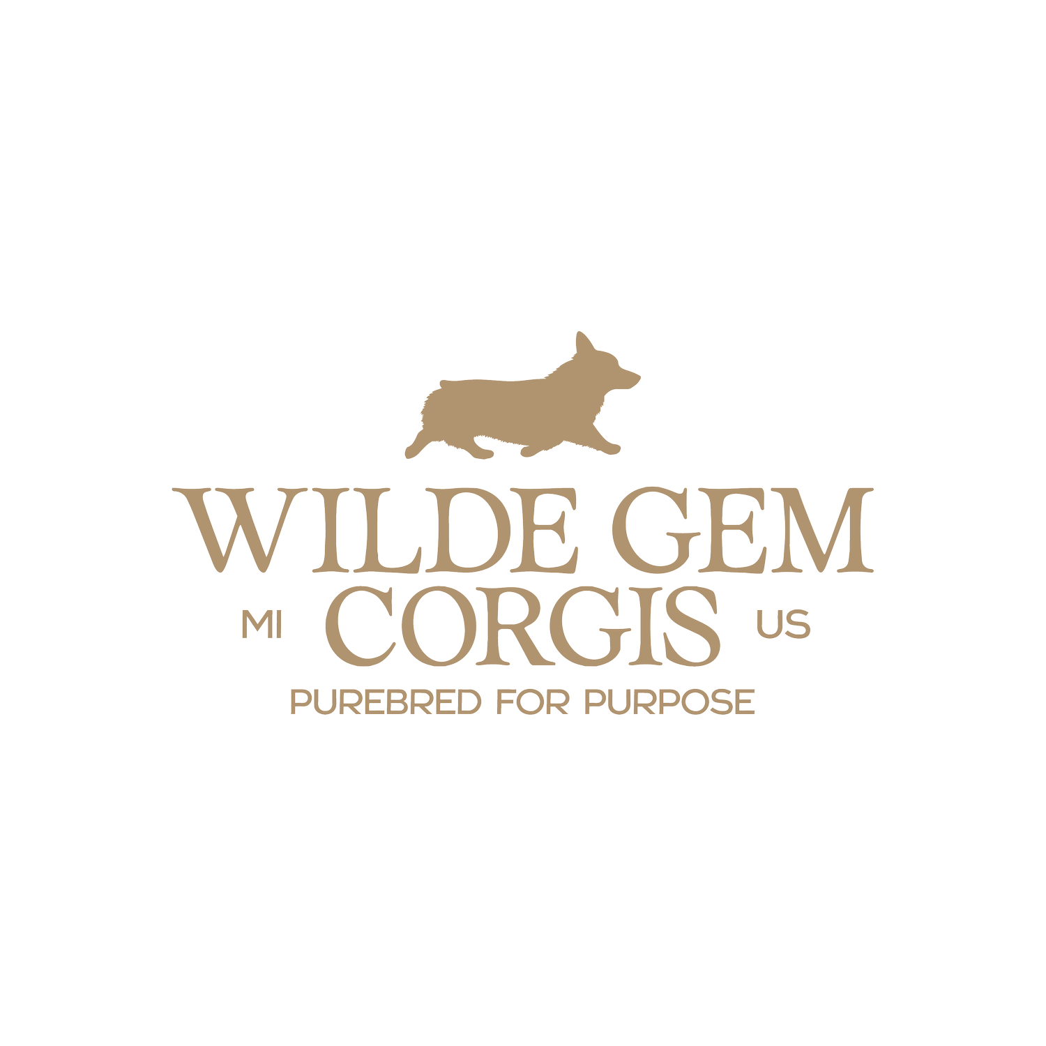 Wilde Gem Corgis