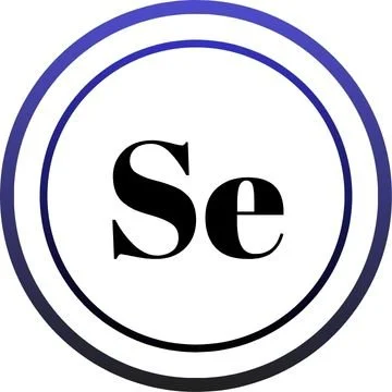 Seals Design Studio