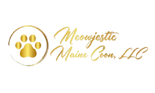 Meowjestic Maine Coons