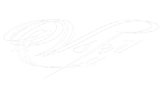 Vski Archive
