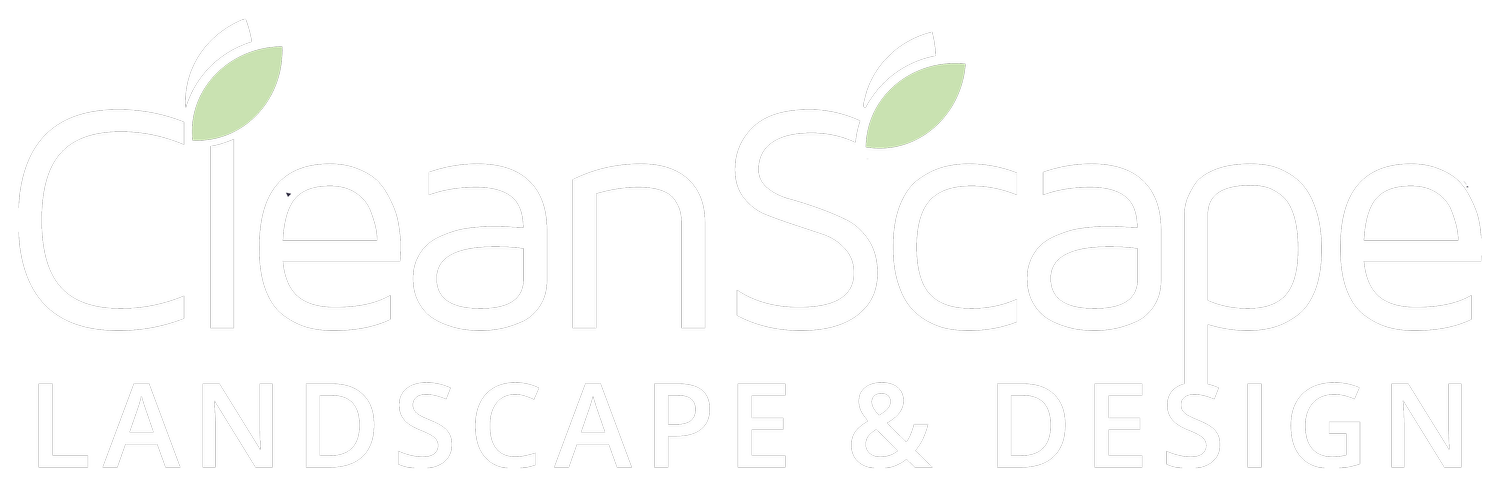 CleanScape Landscape & Design