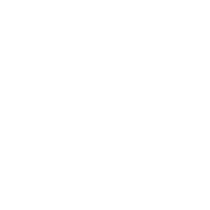 Borough.inc