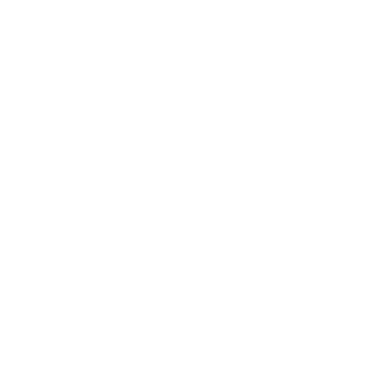 Pumpkinlight & Co. LLC™