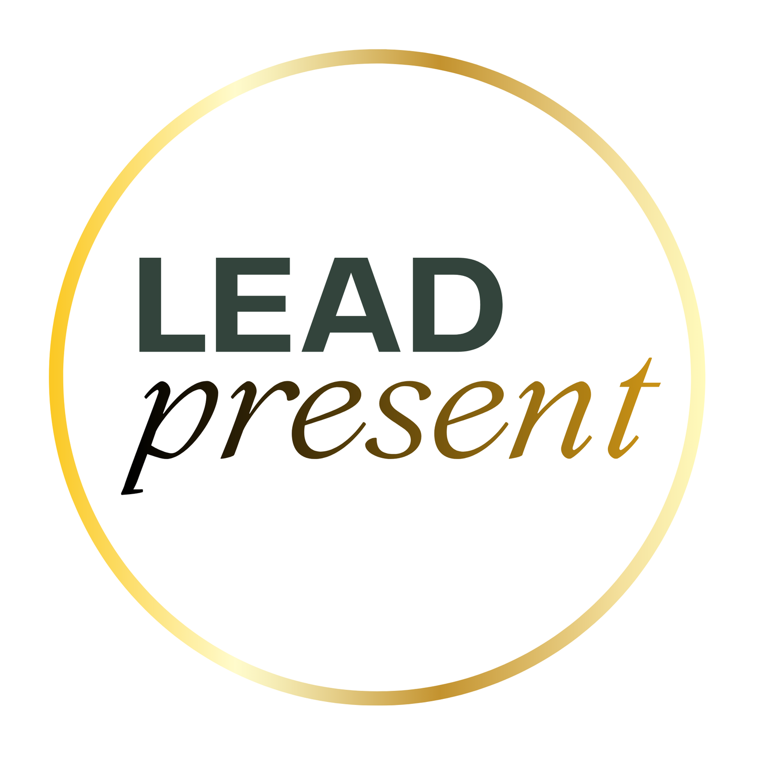 Lead Present | mindfulness coaching for leaders