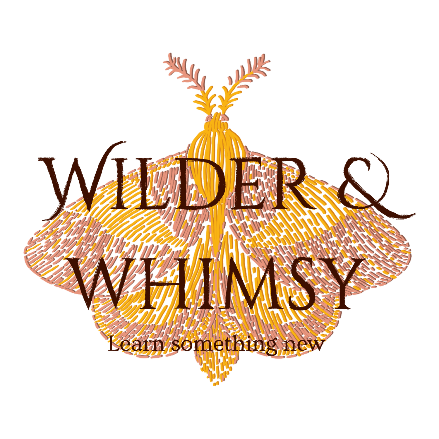 Wilder & Whimsy