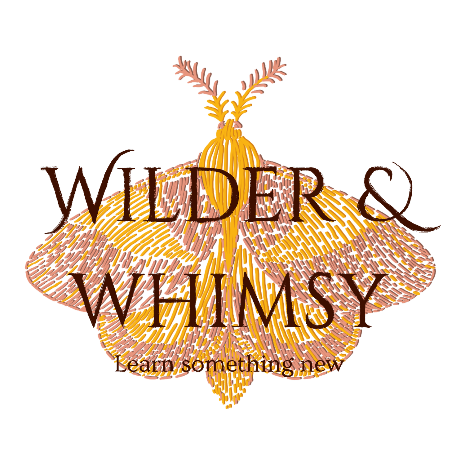 Wilder & Whimsy