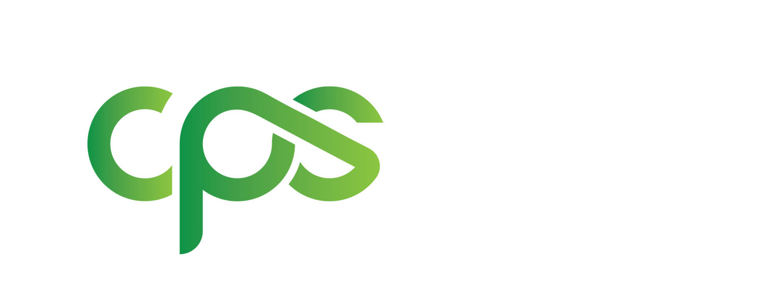 Cyber Professional Services (Copy)