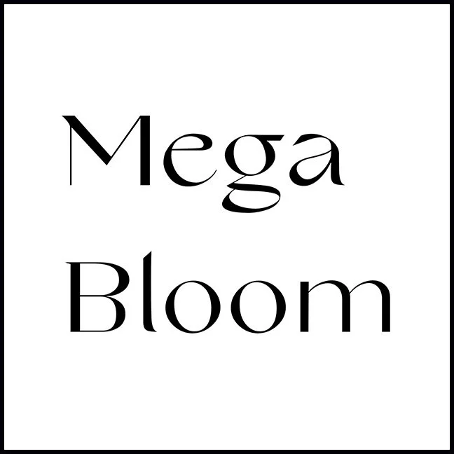 Megabloom Studio