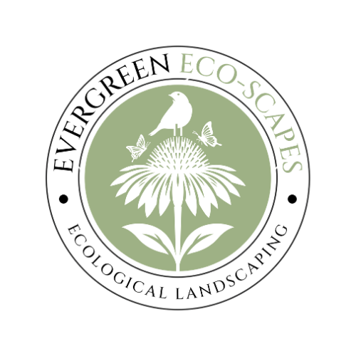 Evergreen Ecoscapes