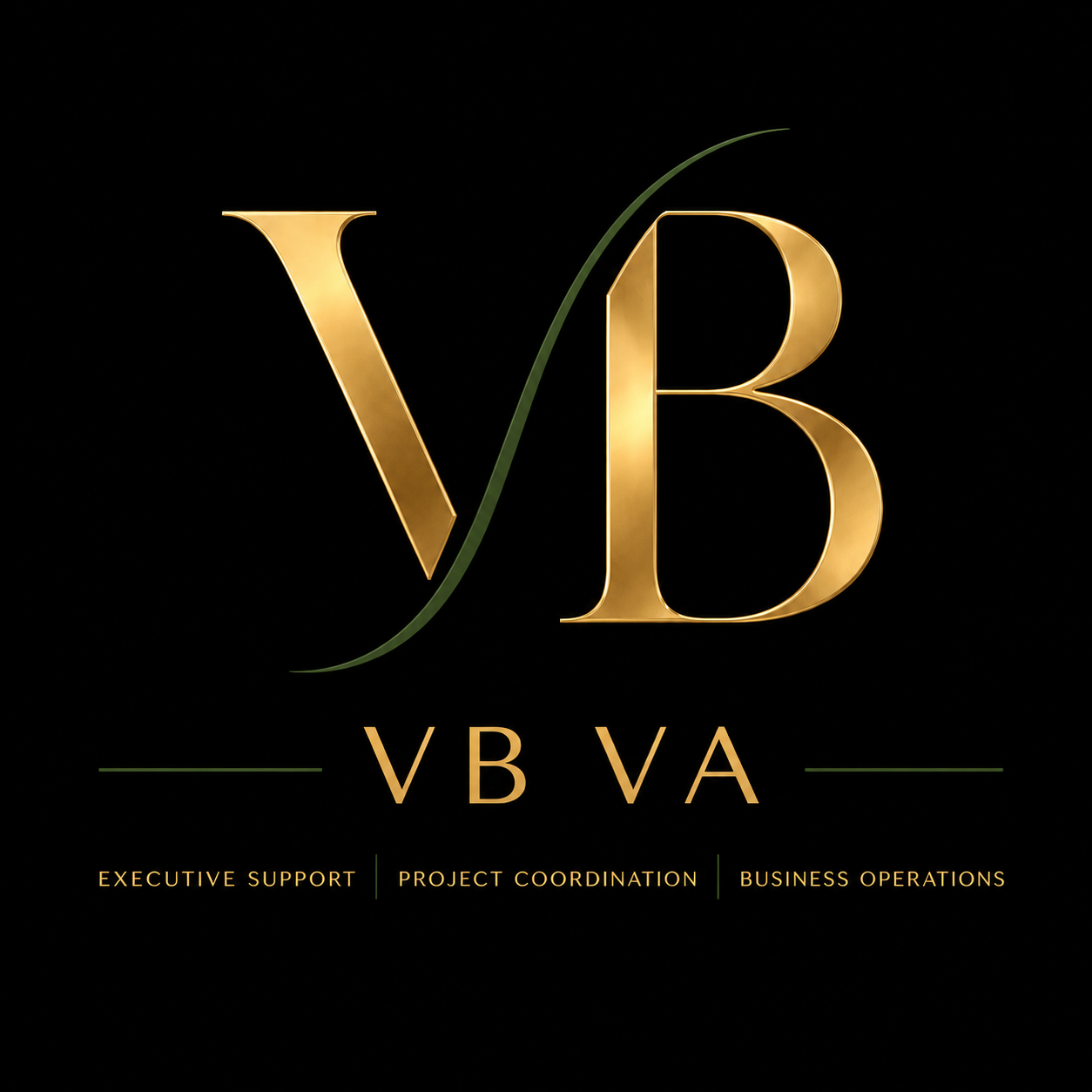 VB VA Executive Support • Project Coordination • Business Operations