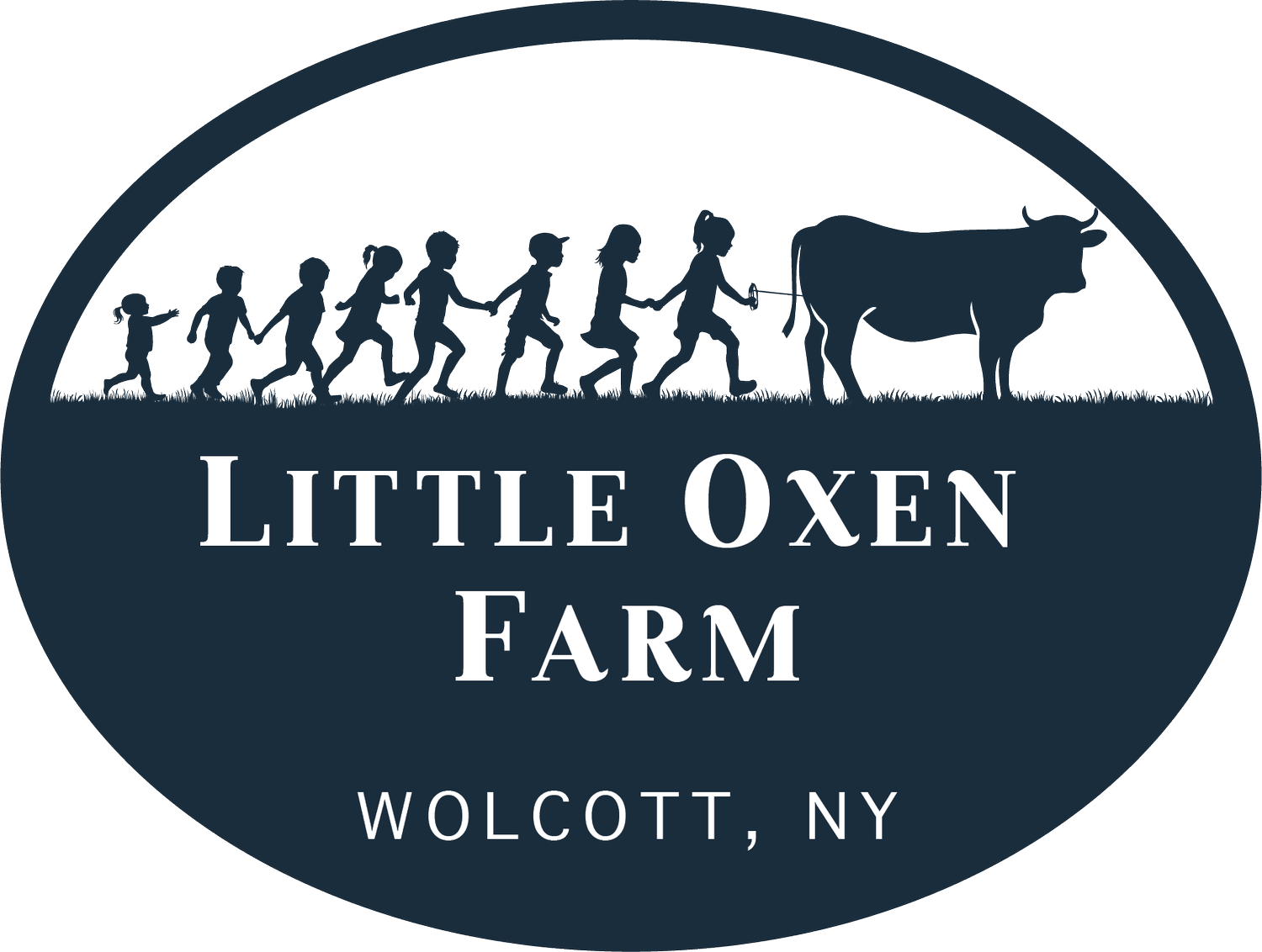 Little Oxen Miniature Donkeys