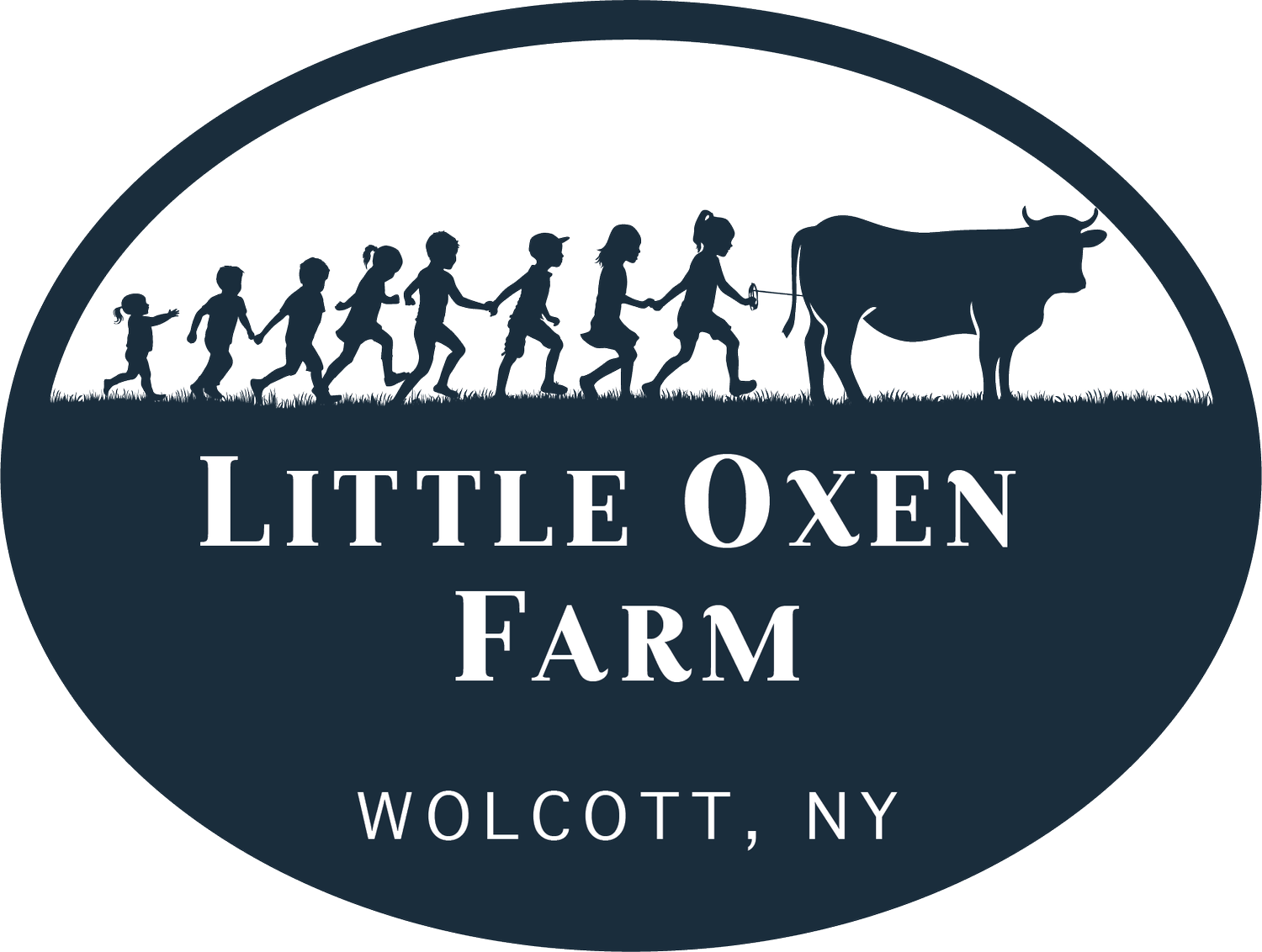 Little Oxen Miniature Donkeys