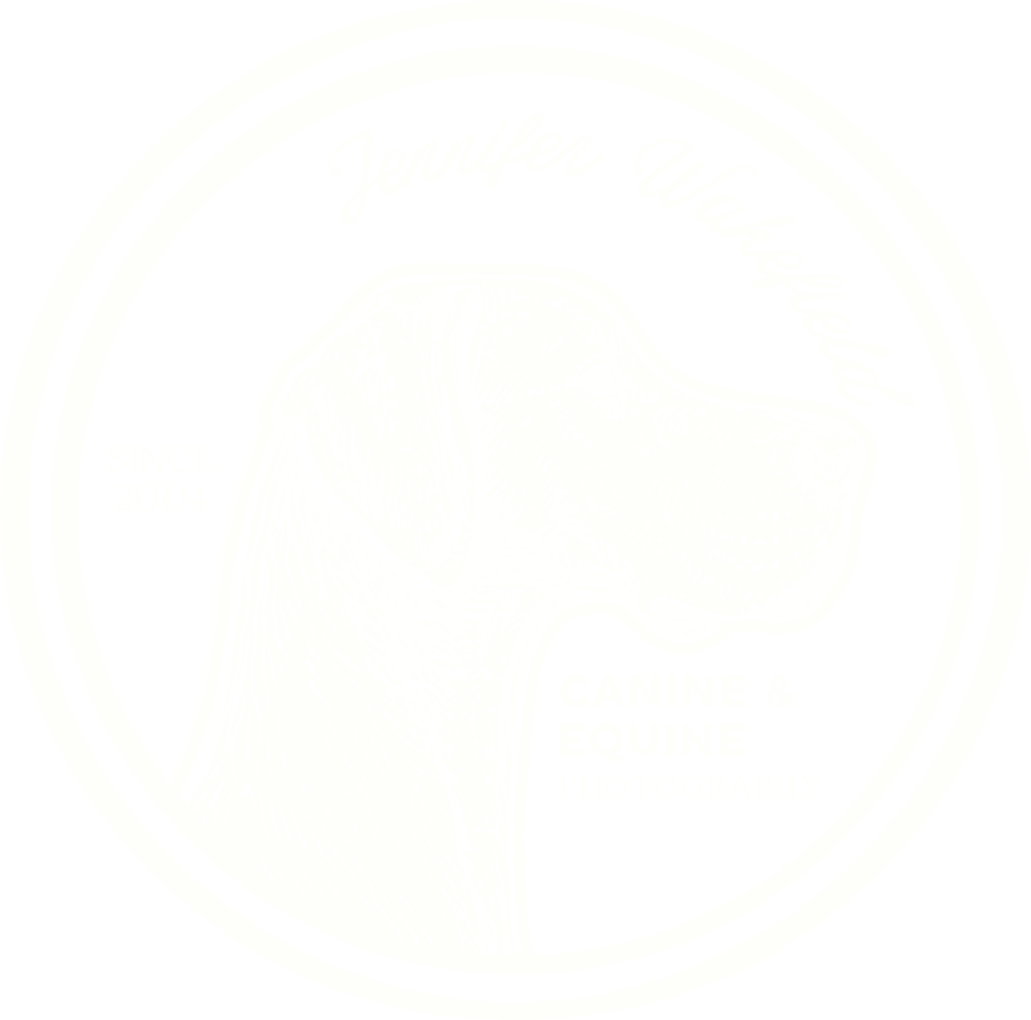 Jennifer Wakefield Canine & Equine Photography