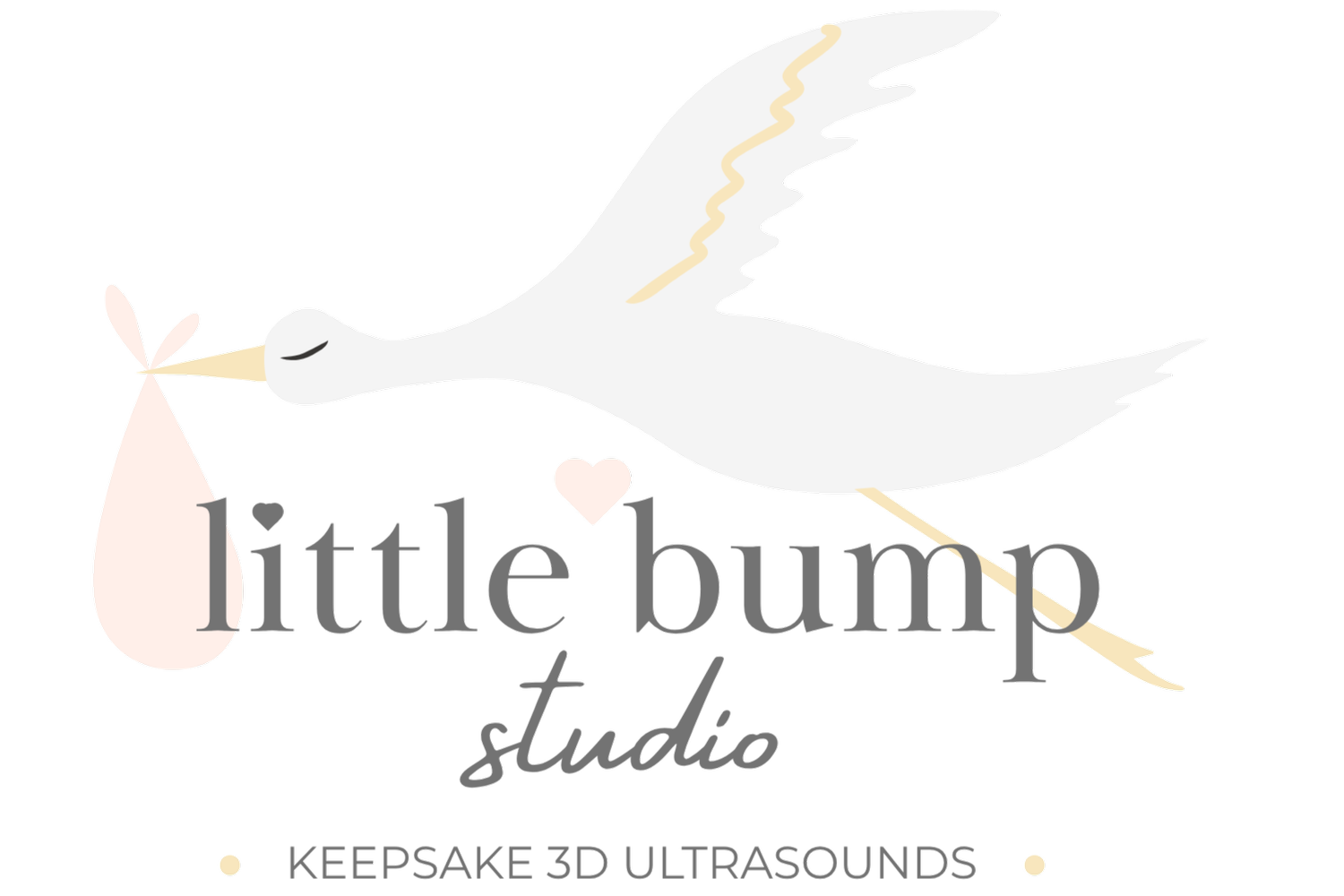 Little Bump Studio