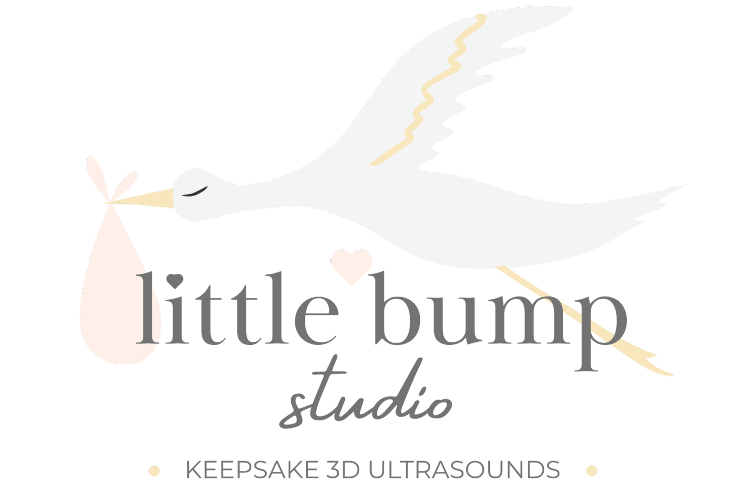 Little Bump Studio