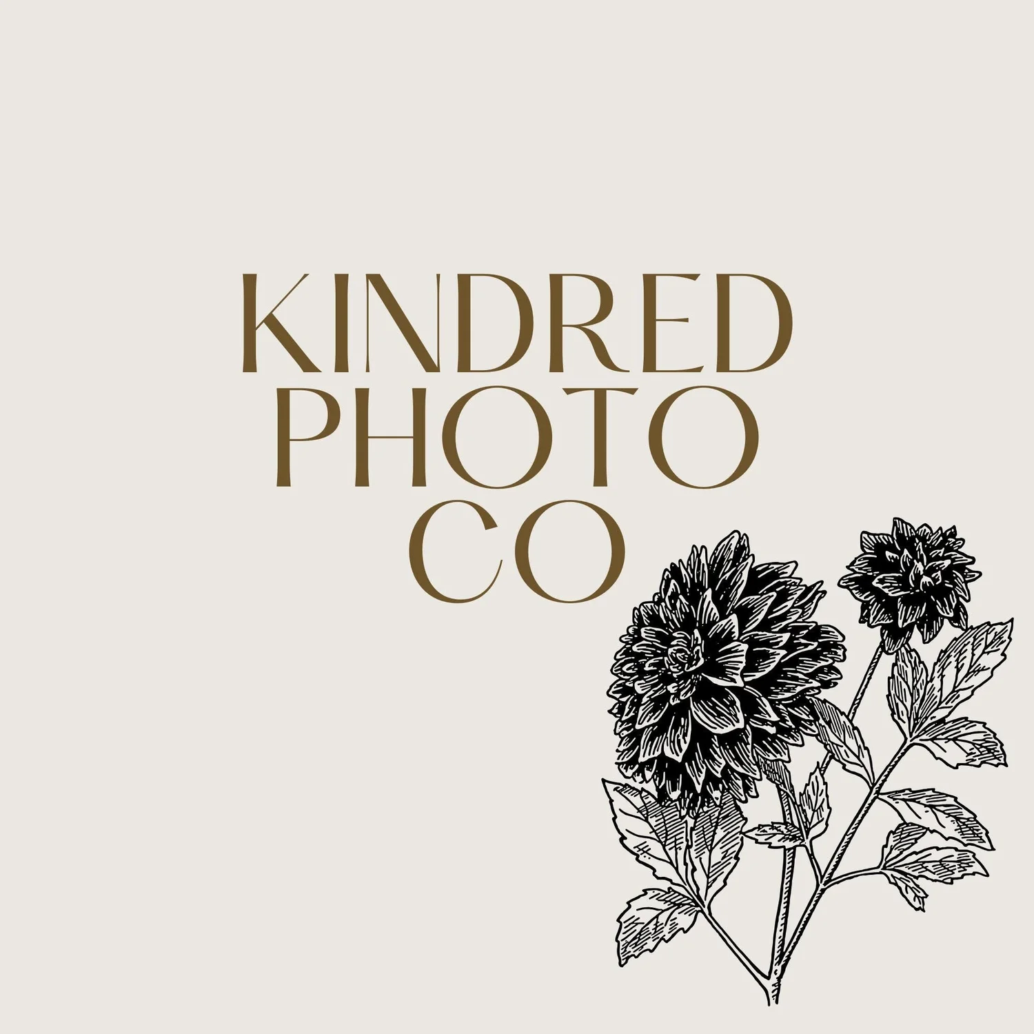 Missouri and Beyond Family + Wedding Photographer