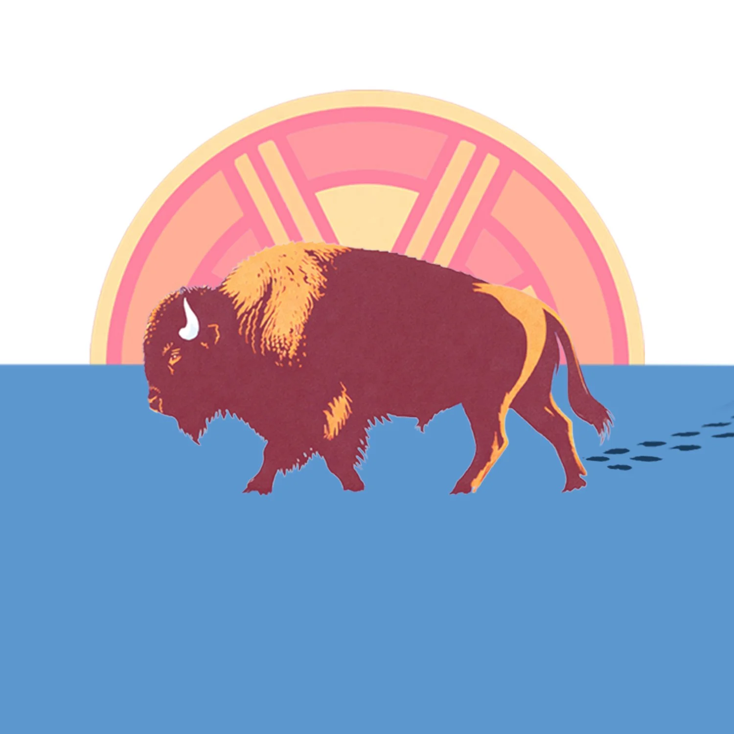 The Ramsey Duke Organization for Indigenous Wellness
