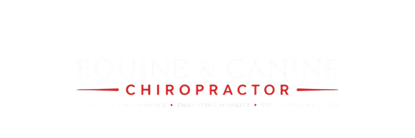 Caroline's Chiropractic