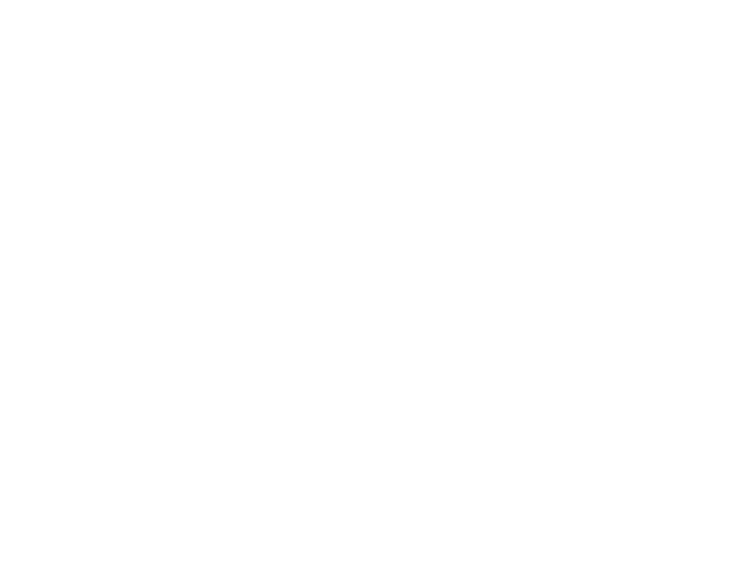 Insight Guiding
