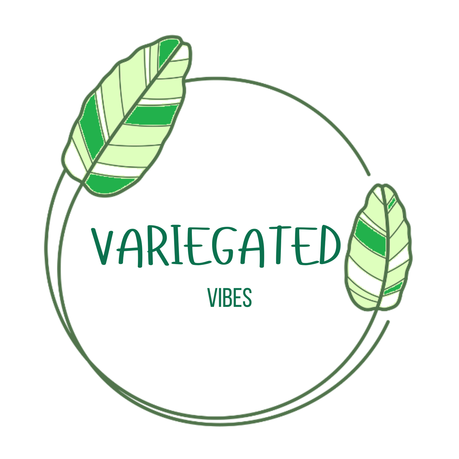 Variegated Vibes