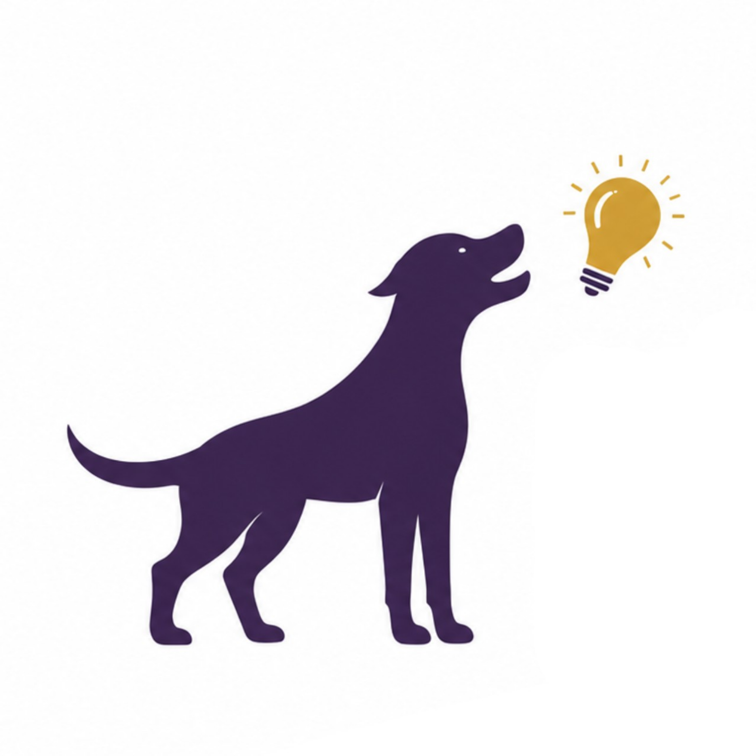 FETCH Executive Management