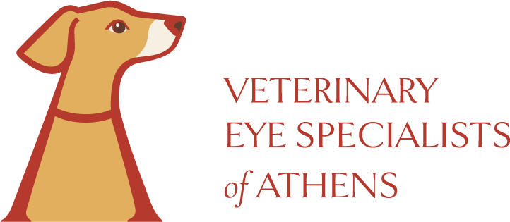 Veterinary Eye Specialists of Athens