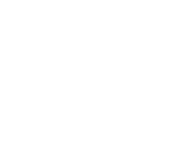 MM171