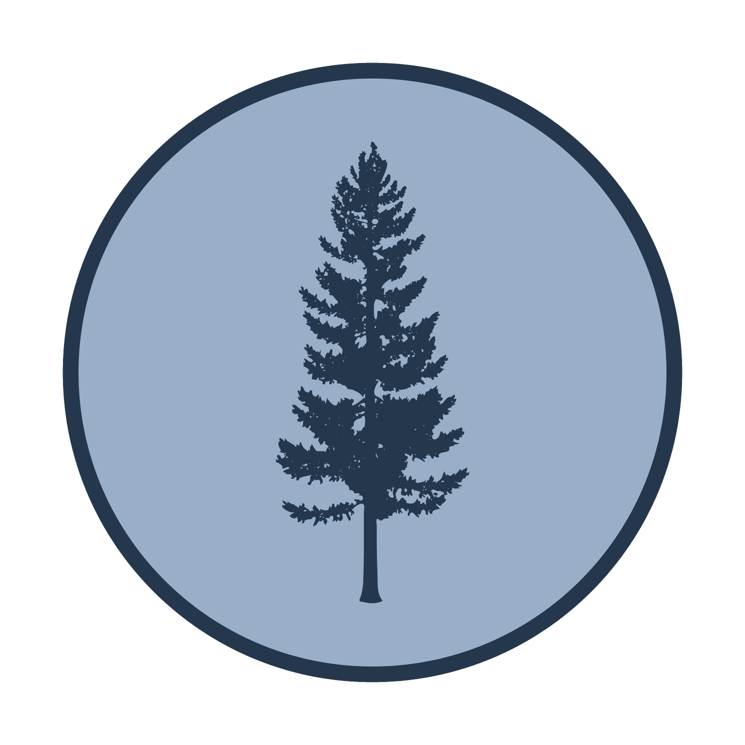 Polychronis Financial Services