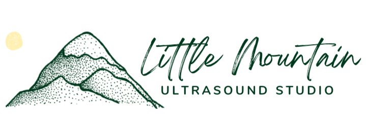 Little Mountain Ultrasound Studio