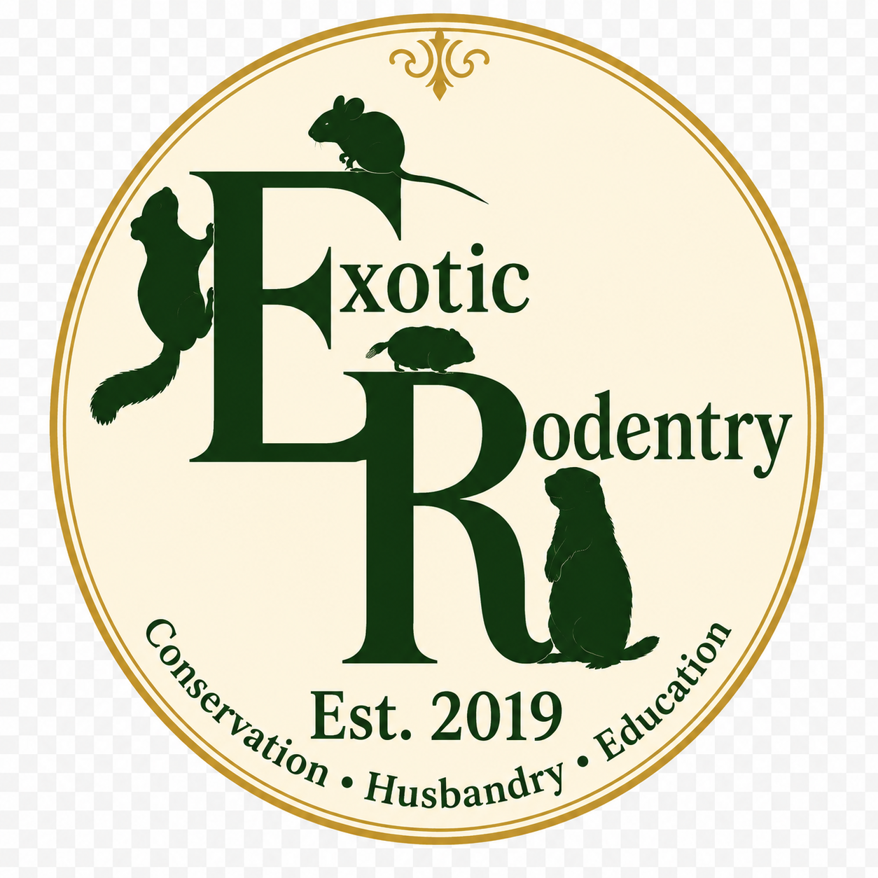 Exotic Rodentry