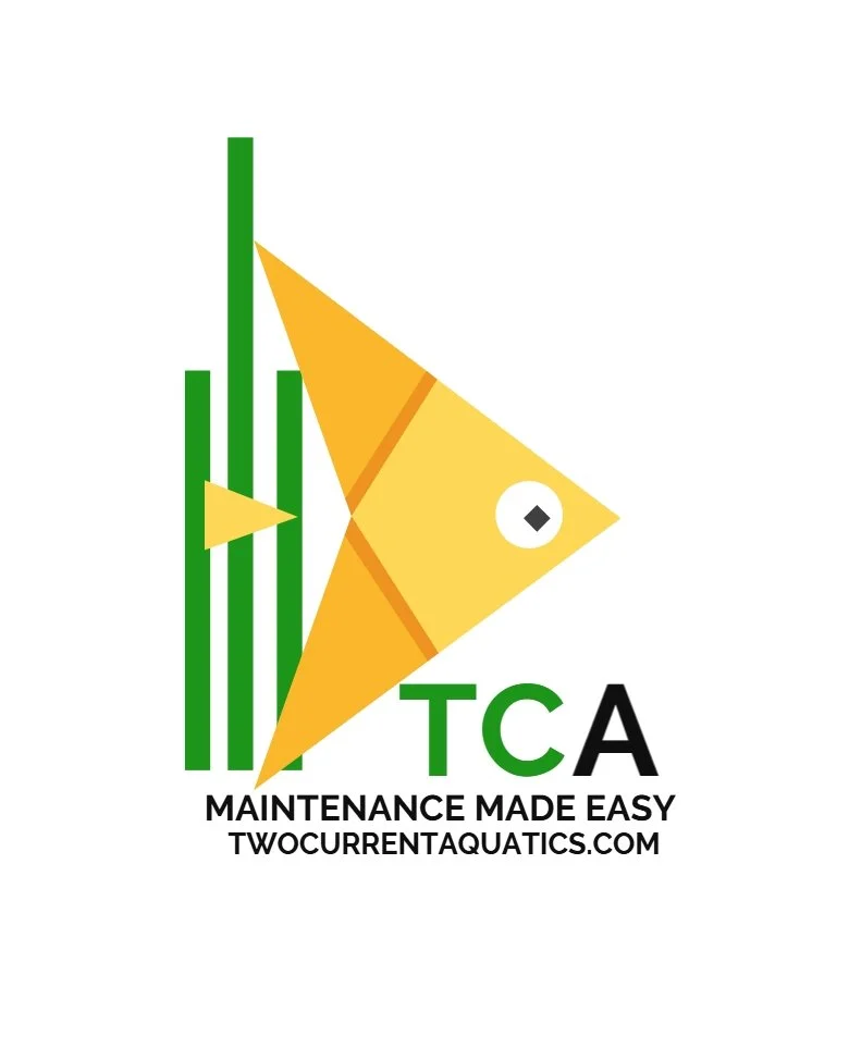 TwoCurrentAquatics