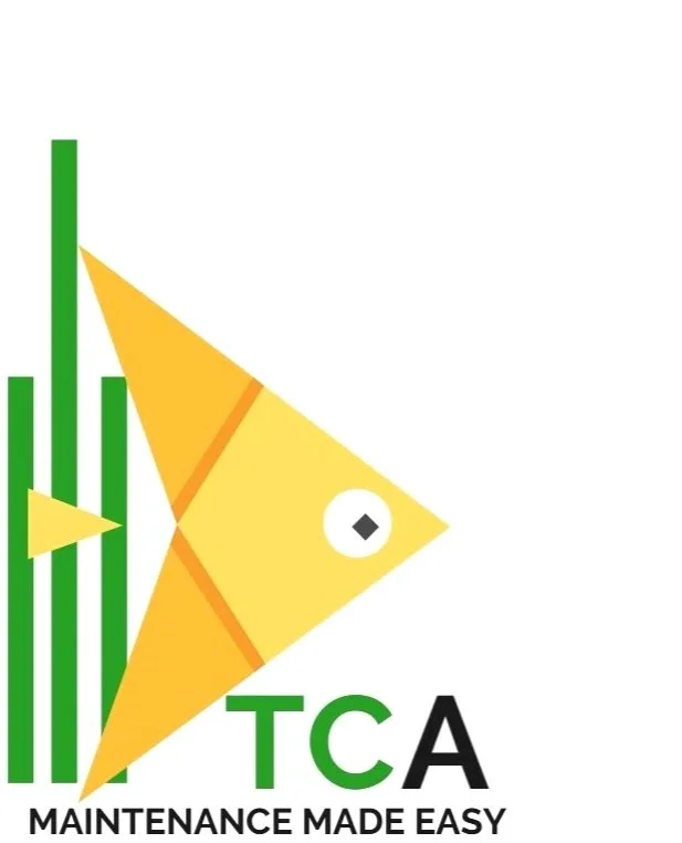 TwoCurrentAquatics