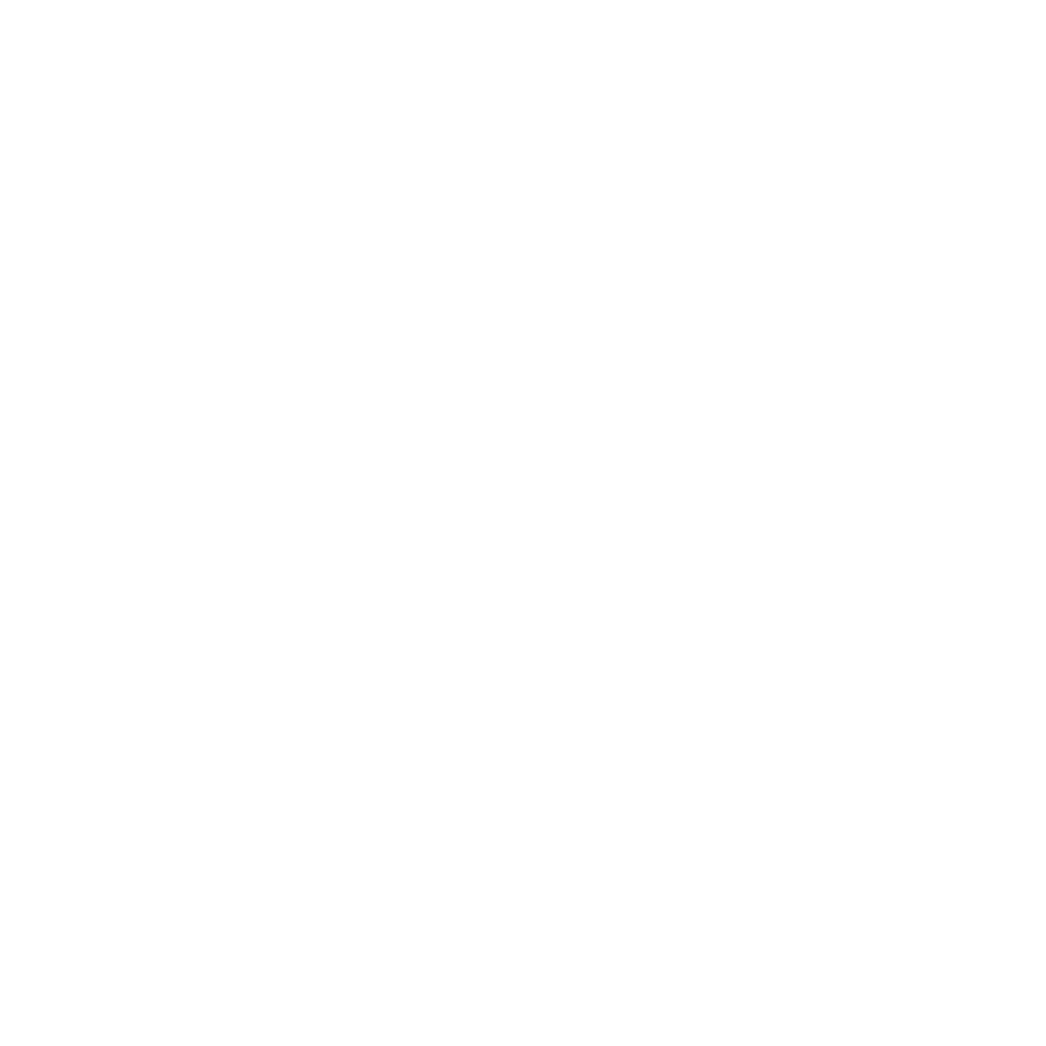 ALEX SEIER