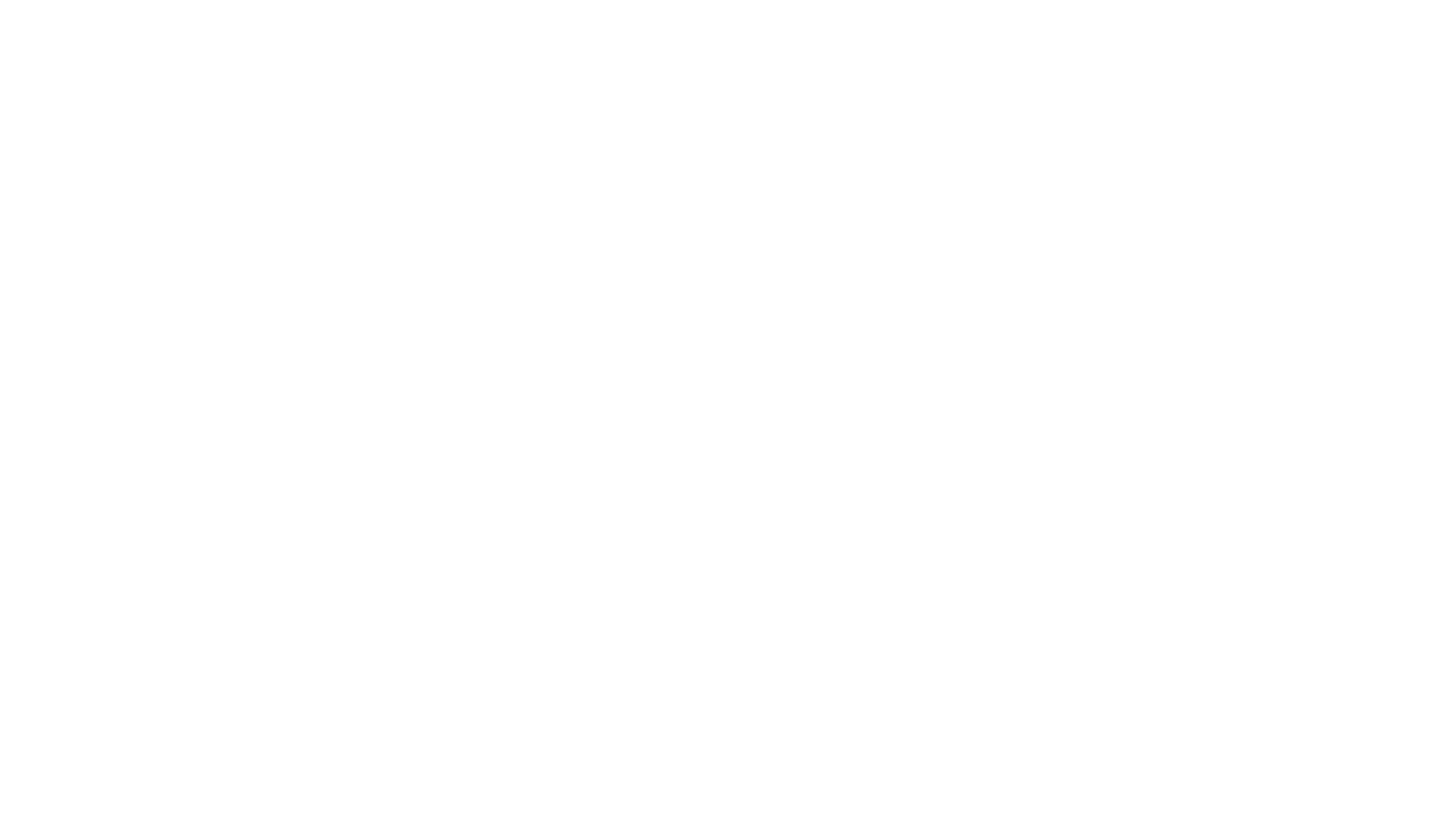 ALEX SEIER