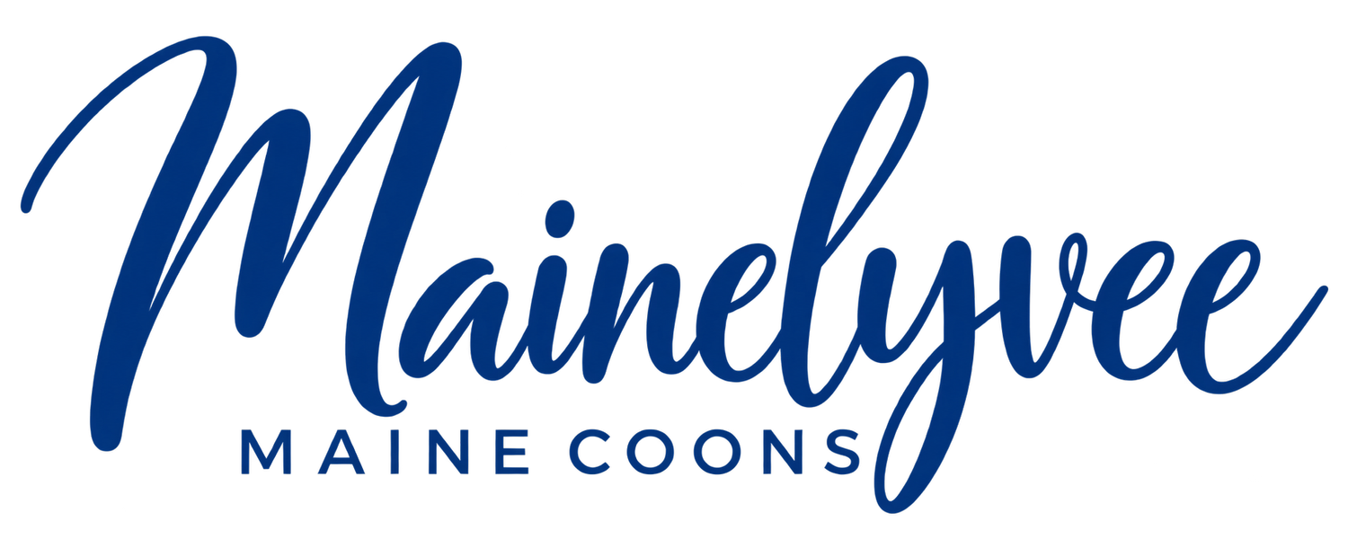 Mainelyvee Maine Coons