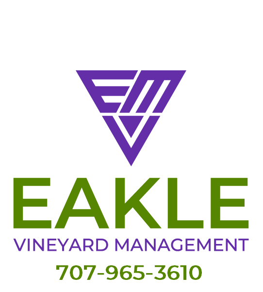 Eakle Vineyard Management | Napa Valley Vineyard Management