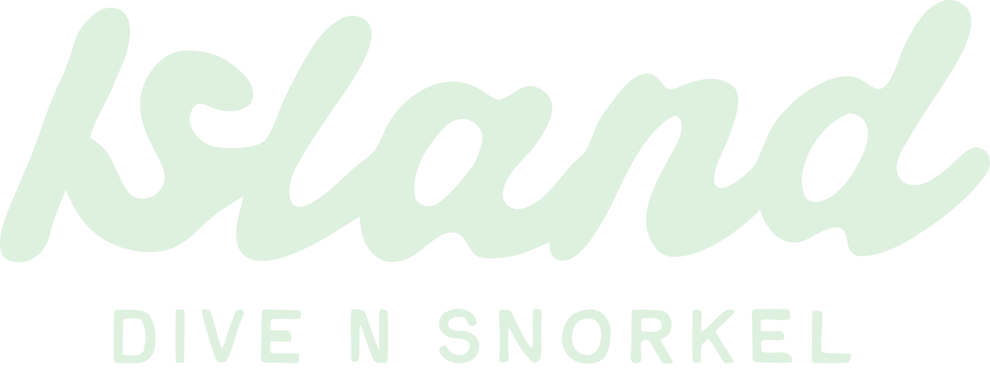 Island Dive n' Snorkel