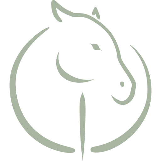PAARDENSPORTMASSAGE.BE