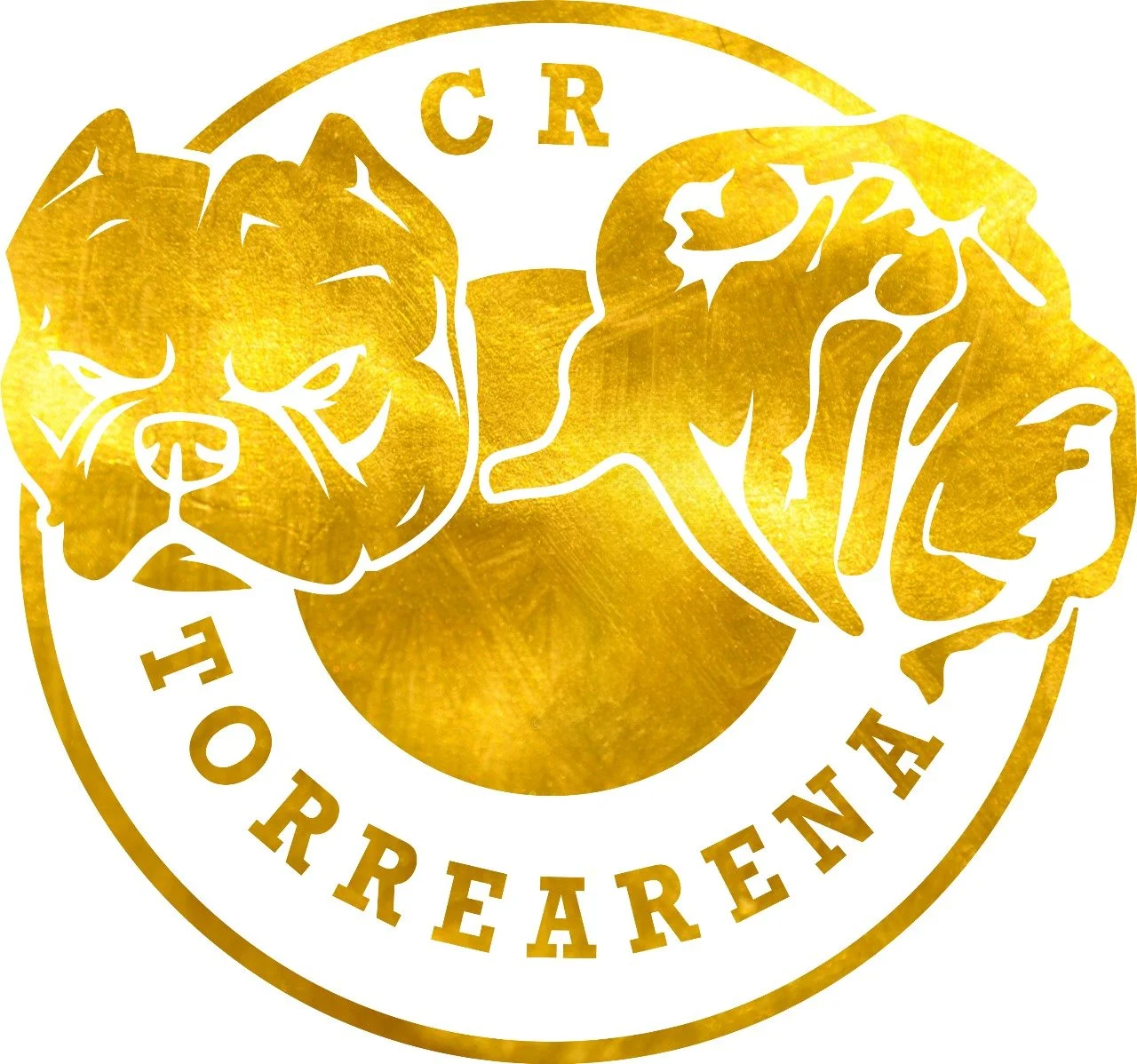 TORREARENA