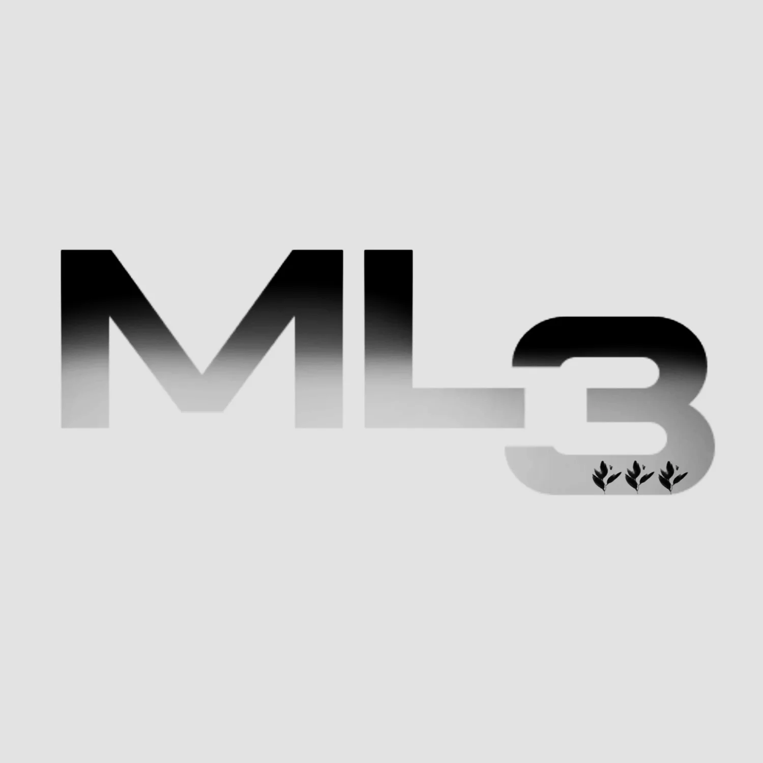 ML3 ATELIER