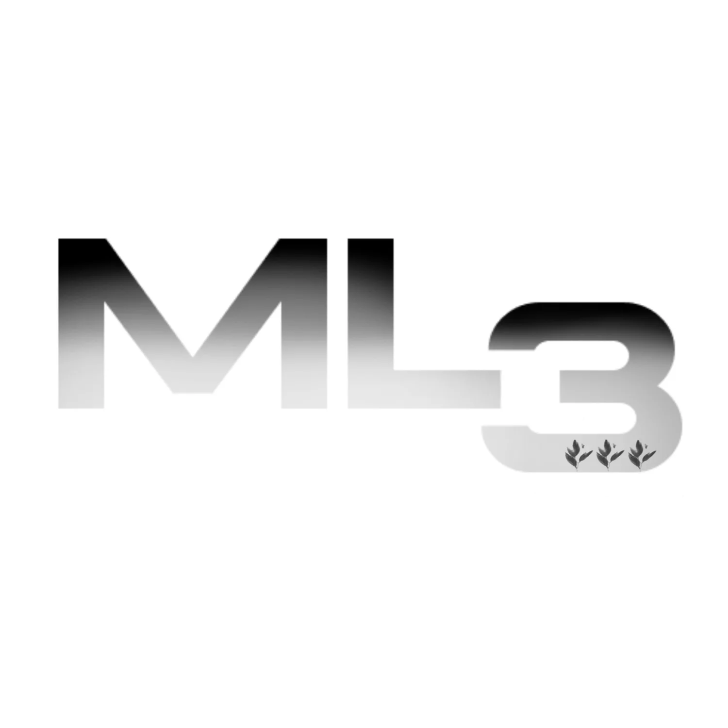 ML3 ATELIER
