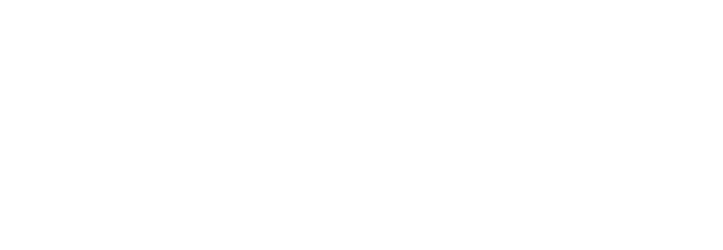 The Wellington Arms